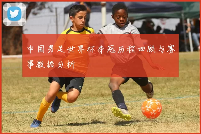 中国男足世界杯夺冠历程回顾与赛事数据分析