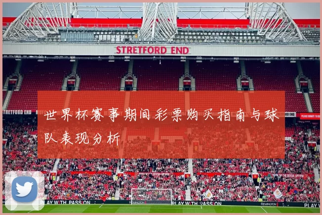 世界杯赛事期间彩票购买指南与球队表现分析