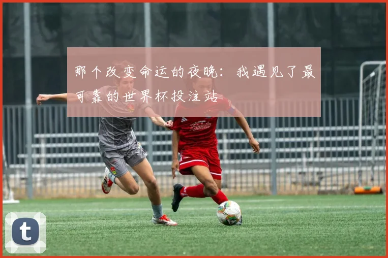 那个改变命运的夜晚：我遇见了最可靠的世界杯投注站
