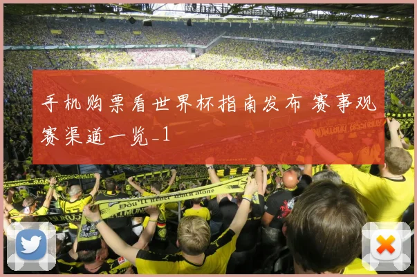 手机购票看世界杯指南发布 赛事观赛渠道一览_1