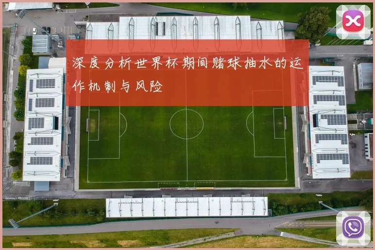 深度分析世界杯期间赌球抽水的运作机制与风险