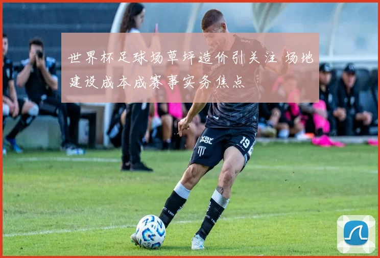 世界杯足球场草坪造价引关注 场地建设成本成赛事实务焦点