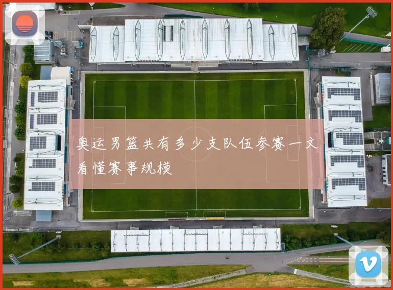 奥运男篮共有多少支队伍参赛一文看懂赛事规模